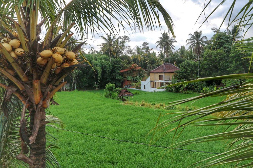 The Sowan Ubud (Bali)